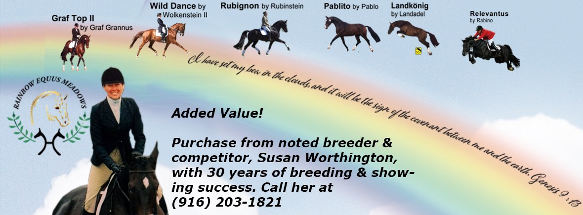 Susan Worthington will advise you regarding best practices using Immunall and AfterAce.